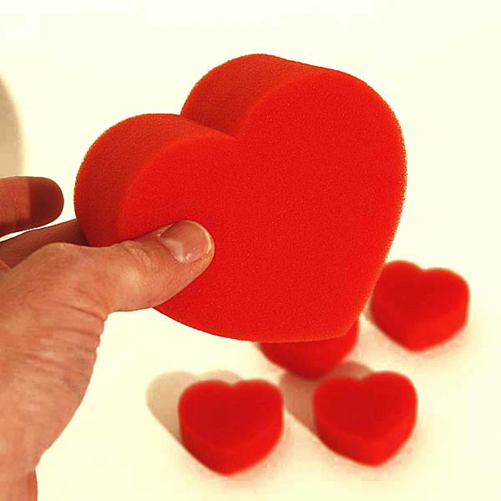 SPONGE HEART ROUTINE