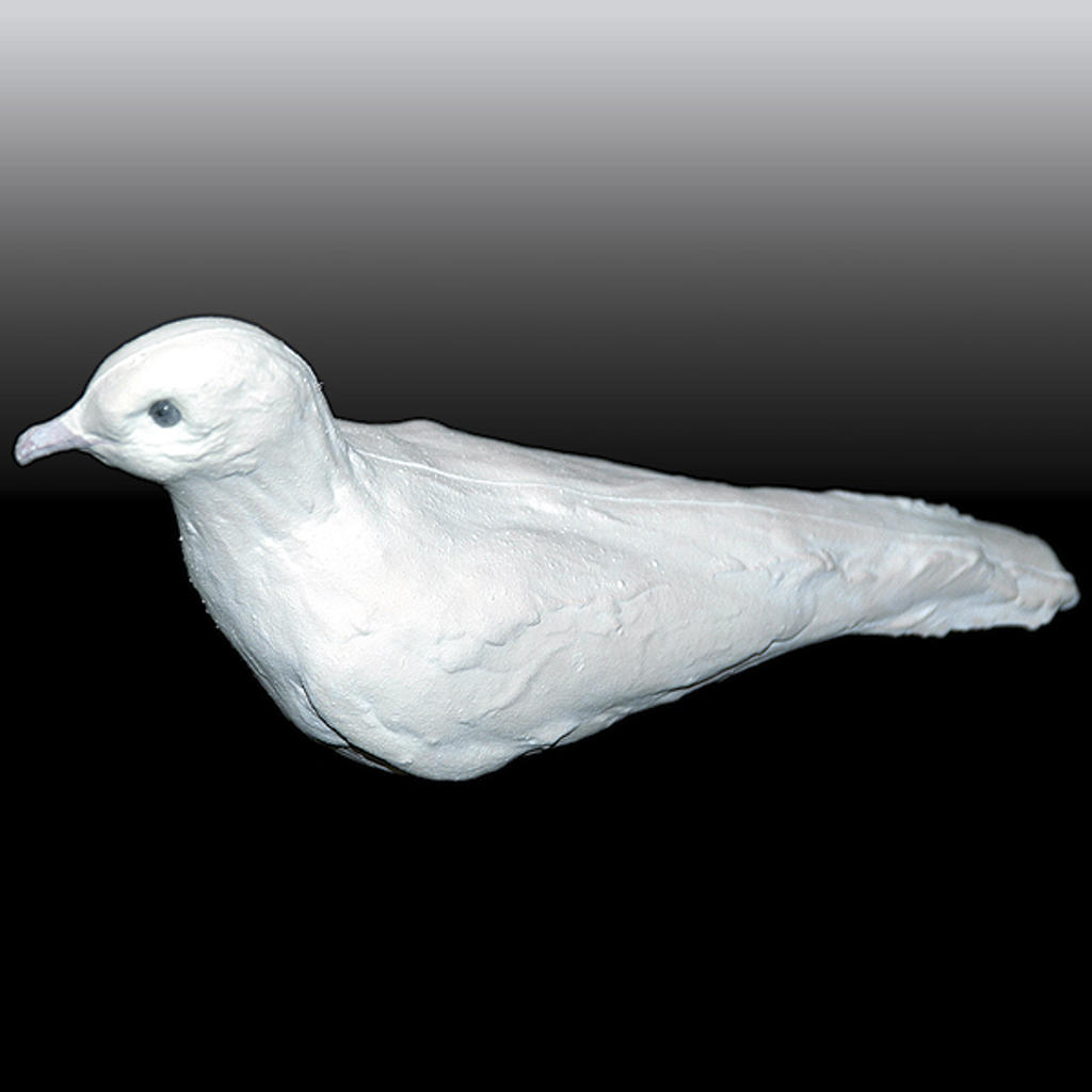 NIELSEN LATEX DOVES