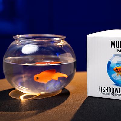 FISH BOWL PRODUCTION