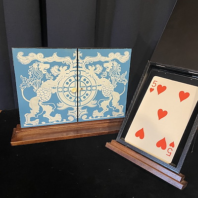 SUCKER FLYING CARD - Tricks Co.