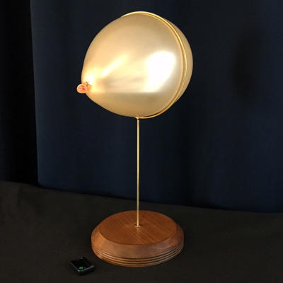 REMOTE CONTROLLED BALLOON