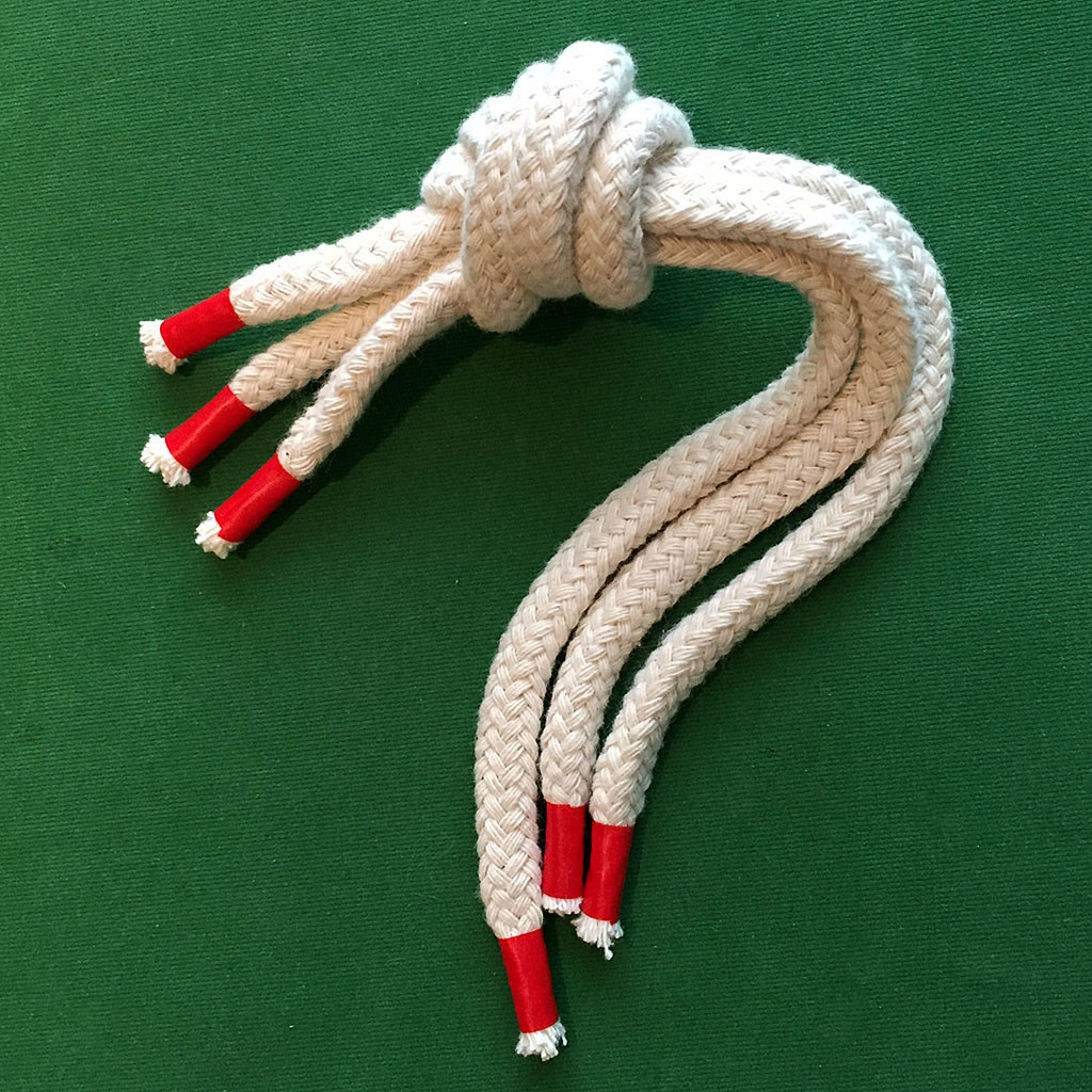 PROFESSORENS MARERIDT