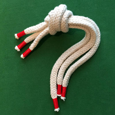 THE PROFESSOR'S NIGHTMARE