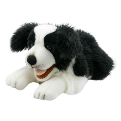 VENT DOLL -  BORDER COLLIE