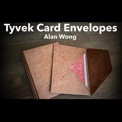 TYVEK CARD ENVELOPES - 10 stk.