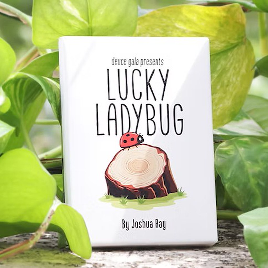 LUCKY LADYBUG - Joshua Ray