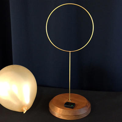 REMOTE CONTROLLED BALLOON