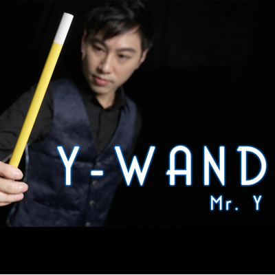 Y WAND - Mr. Y