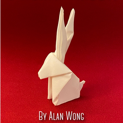 ORIGAMI RABBIT - Alan Wong