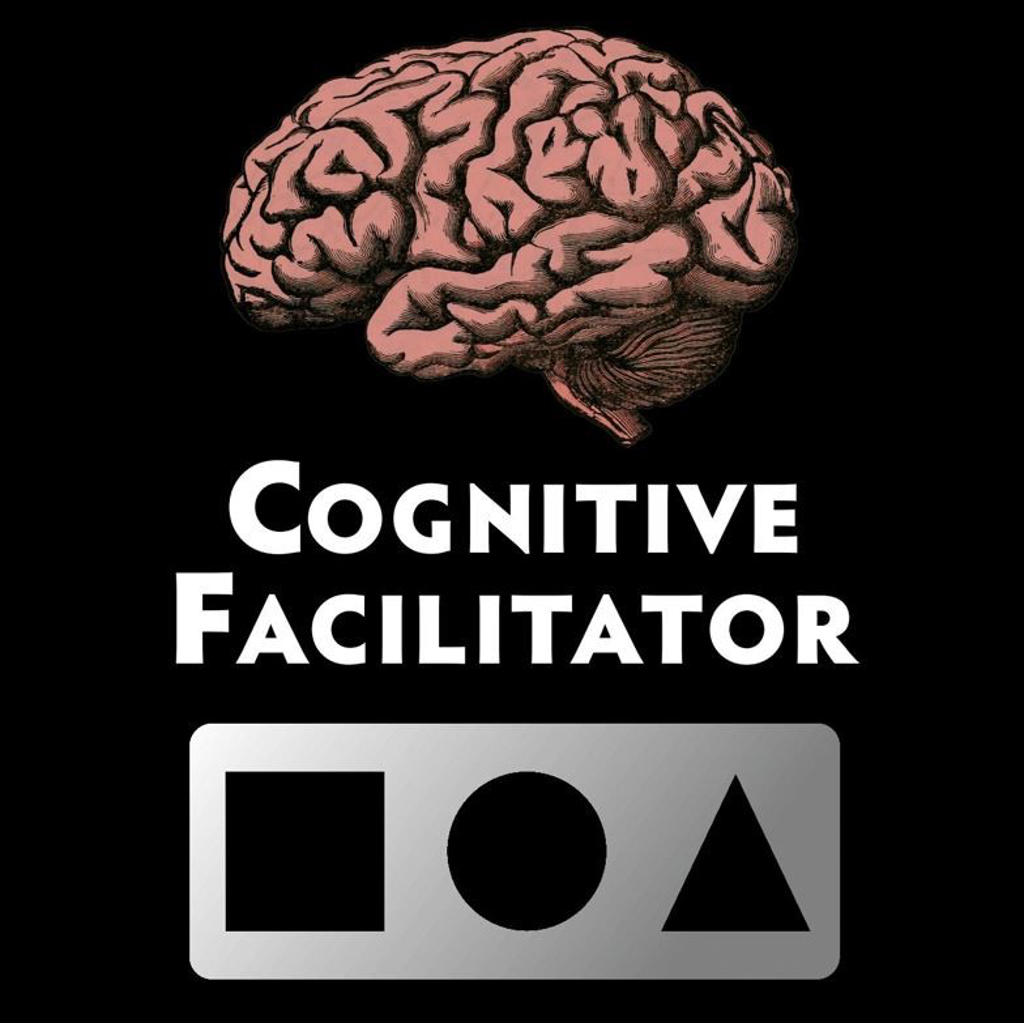 COGNITIVE FACILITATOR - Auke Van Dokkum