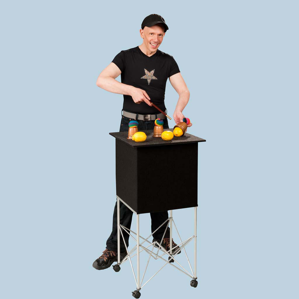 SPIDER QBLE TABLE (with bags)