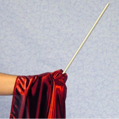 LUXERY SILVER SCEPTRE