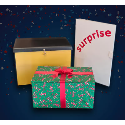 SURPRISE BOX