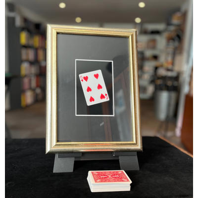 DA VINCI MIRACLE FLASH FRAME