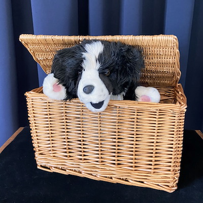 BEN IN A BASKET