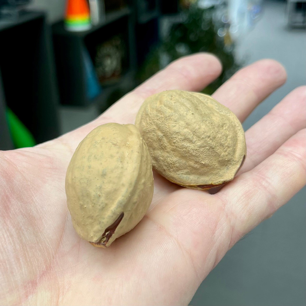 RUBBER WALNUTS (2 styk) - Magiclatex