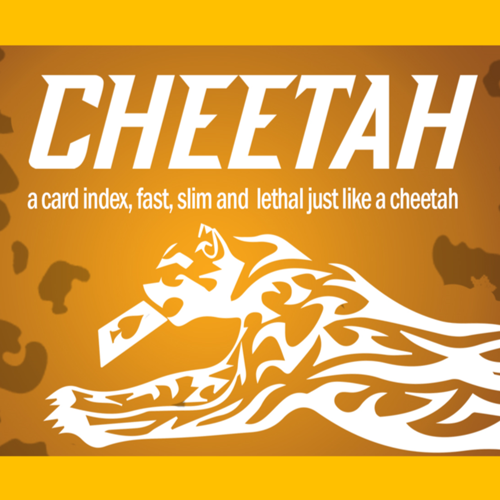 CHEETAH CARD INDEX -  Berman Dabat and Michel