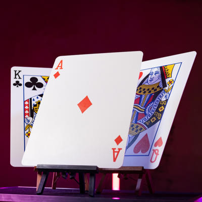 LIONS GIANT MONTE - Brother's Magic