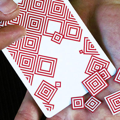 VISUALIES GAFF SYSTEM