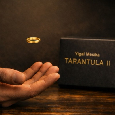 TARANTULA 2 - Yigal Mesika