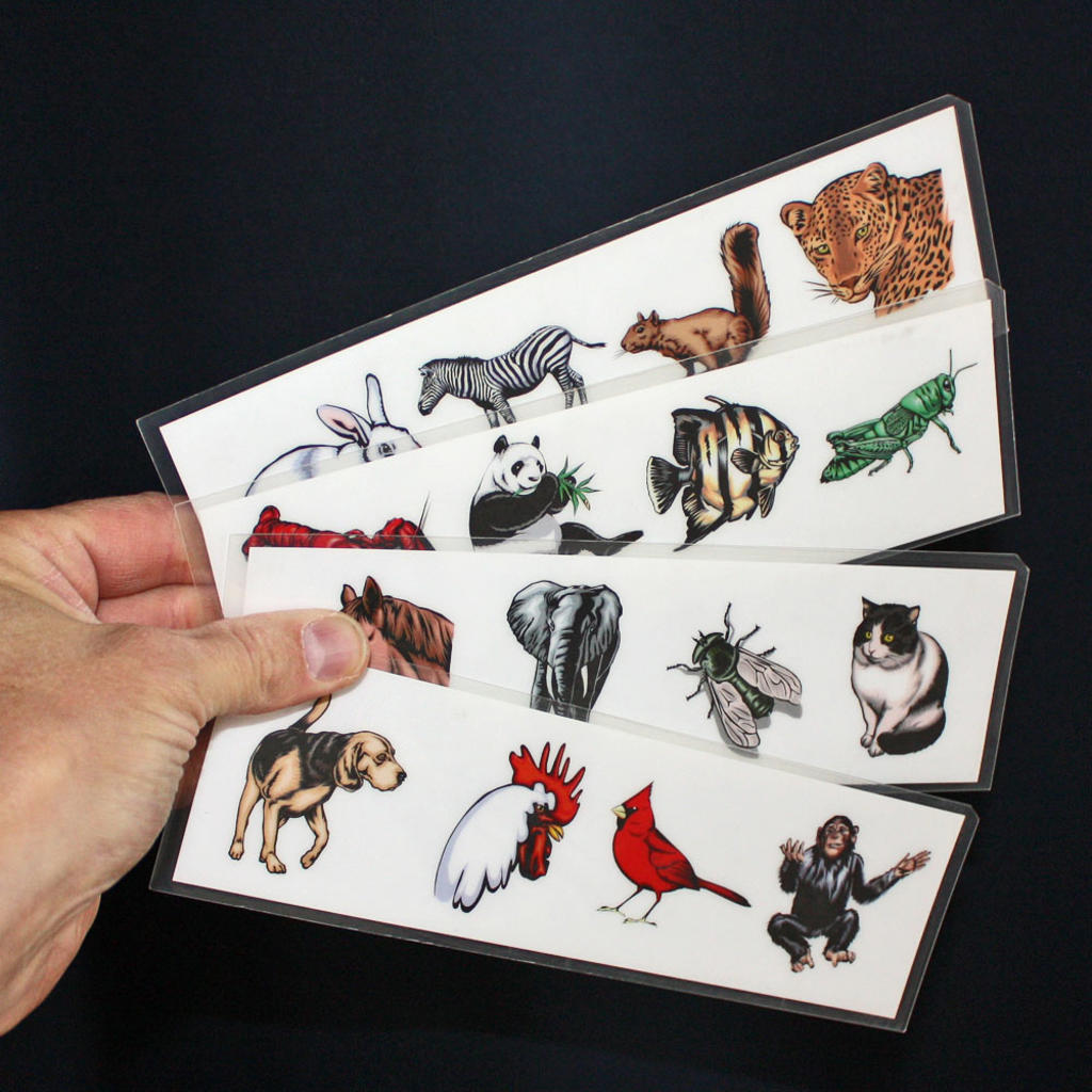 ANIMENTAL - Danny Archer