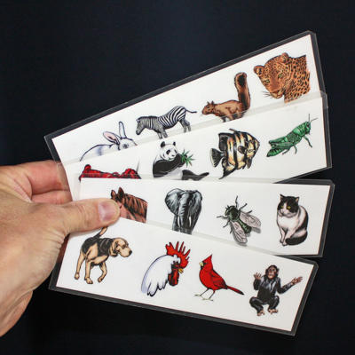 ANIMENTAL - Danny Archer