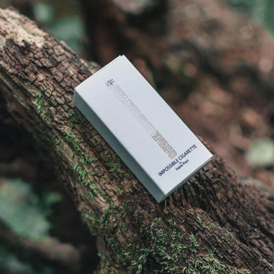IMPOSSIBLE CIGARETTE - Fabio Pieri
