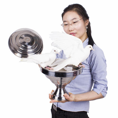 V STYLE DOUBLE DOVE PAN