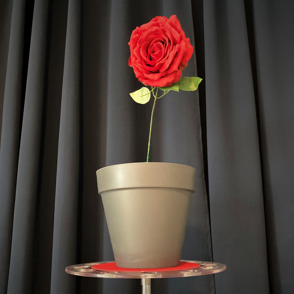 DEN TØRSTIGE BLOMST