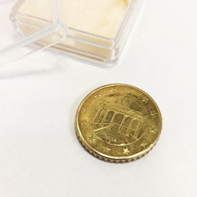 SUPER STRONG MAGNETIC EURO