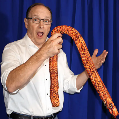 WIZARD WAND TO SNAKE - Tommy James