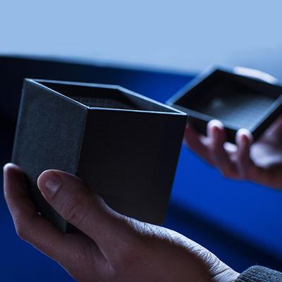 THE GIFT - Angelo Carbone