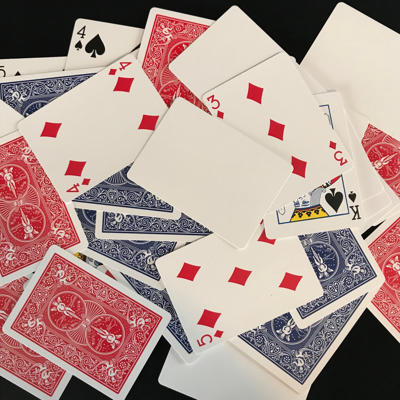 BICYCLE SPECIAL ASSORTMENT