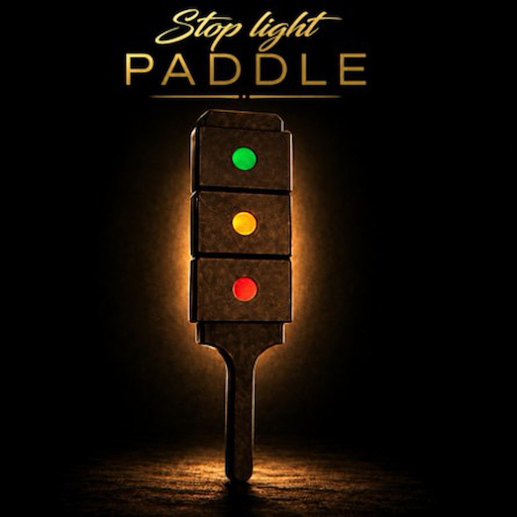 STOP LIGHT PADDLE - Ian Adair