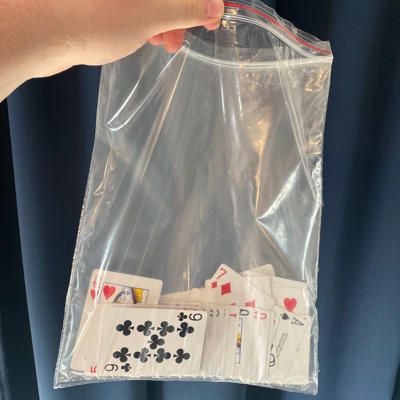 ZIP LOCK TRIPLE FORCE BAG