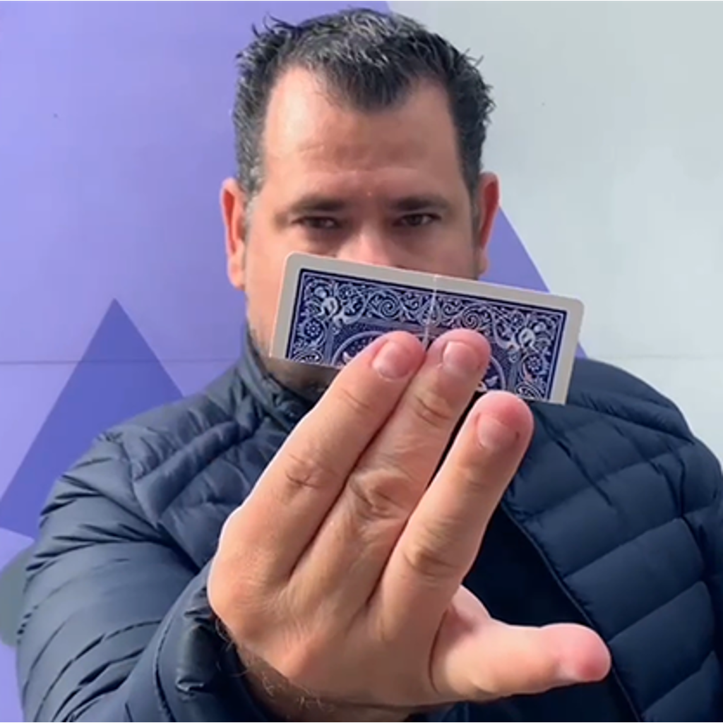 AUTO REVERSE 2.0 - Mickael Chatelain