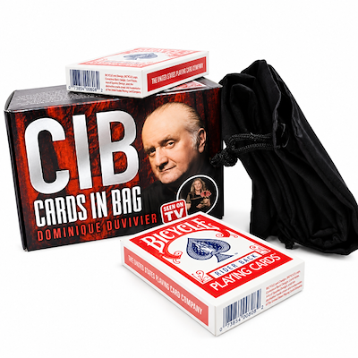 CARDS IN BAG - Dominique Duvivier