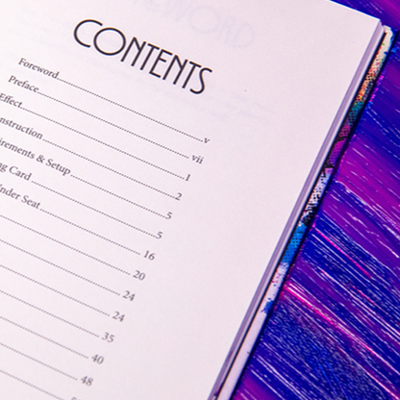 PRINCIPLES OF DESTRUCTION - Ben Seidman