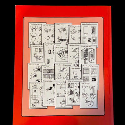 PAGES FROM PATRICK'S NOTEBOOK