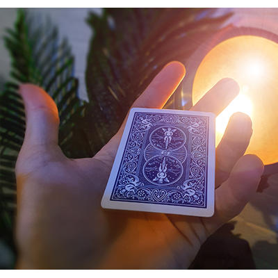 SUGAR - Florian Sainvet