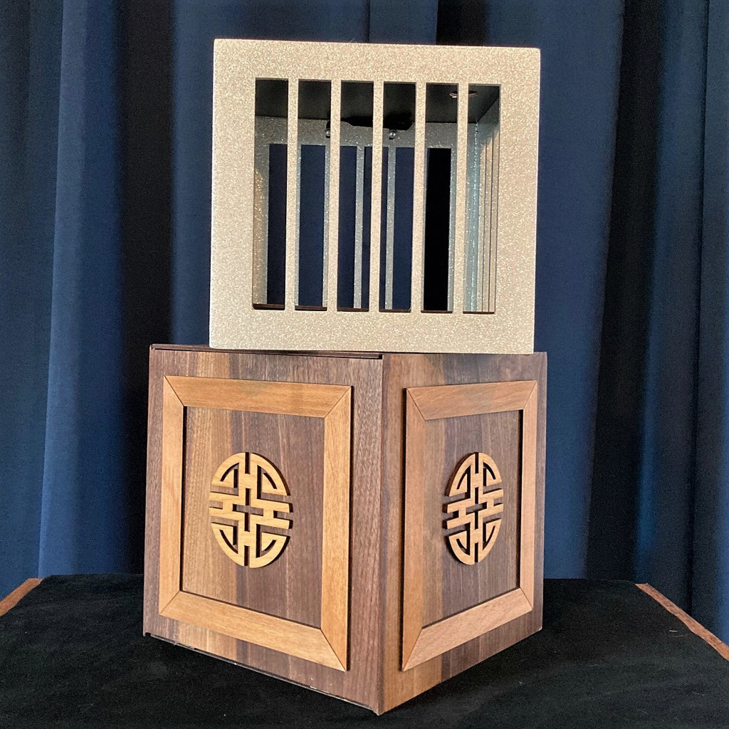 THE CAGE BOX - de-luxe