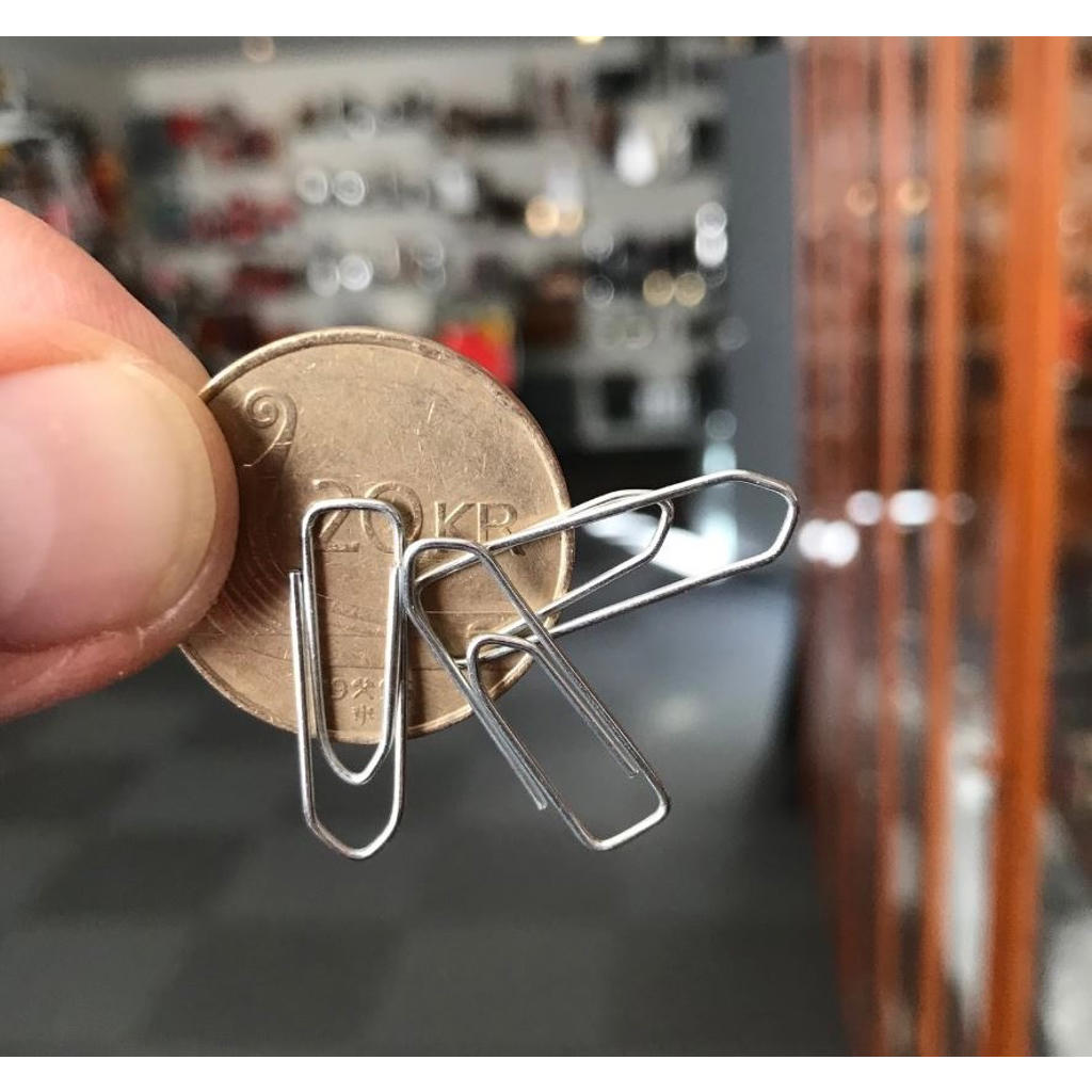 MAGNETIC NORWEGIAN 20-KRONE