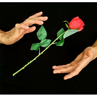 FLOATING ROSE - Kevin James