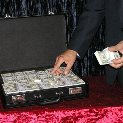 MILLIONAIRE'S SUITCASE