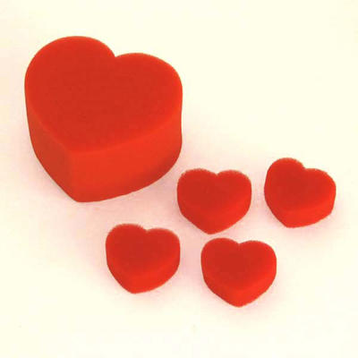 SPONGE HEART ROUTINE