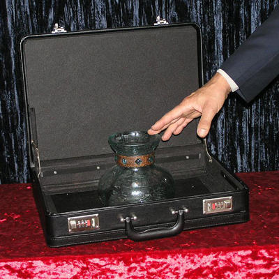 MILLIONAIRE'S SUITCASE